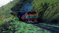 4-Day Rail Tour: Sri Lanka Countryside