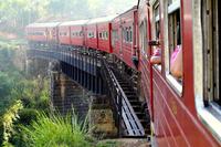 Full-Day Private Rail Tour from Colombo to Kandy