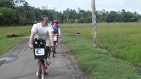 35km Mountain Bike Day Tour in Galle