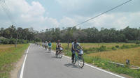 Half-Day Lagoon and Village Cycling Tour in Galle