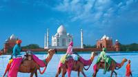Privé 4-Day Tour: Golden Triangle Tour avec Camel Safari
