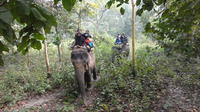 Chitwan Jungle Safari Tour