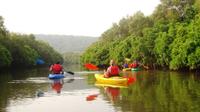 Goa Kayaking in Spike's River