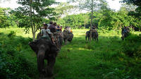 3-Day Chitwan Wildlife Safari Tour from Kathmandu