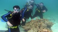 Cham Island Full Day Trip with Scuba Diving