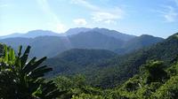 Full-Day Exploration of Bach Ma National Park from Hue