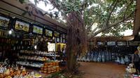 Half-Day Bat Trang Ceramic Village Tour from Hanoi