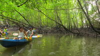 Half-Day Krabi Ao Tha Lane Nature Reserve by Kayak Including Lunch