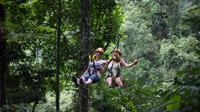 Jungle Zip Lining Adventure from Chiang Mai