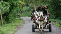 Private Tour: Full-day Sasak Tour and Horse Cart Riding