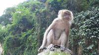 Private Tour: Half Day Batu Caves Tour