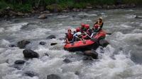 Private Tour of Progo River Rafting and Borobudur Temple Complex