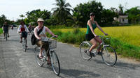 Half -Day Tra Que Herbal Village Tour from Hoi An