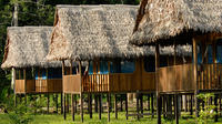 3-Day Wildlife Observation Tour at Tamshiyacu Reserve with Curassow Amazon Lodge