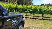 Excursion au bord de mer de Melbourne : dégustation de vins en petit groupe dans la vallée de Yarra image 1 Excursion au bord de mer de Melbourne : dégustation de vins en petit groupe dans la vallée de Yarra image 1