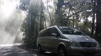 Excursion sur la côte de Melbourne: une journée en petit groupe dans la Vallée de Yarra Incluant le sanctuaire d'Healesville