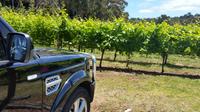 Melbourne Shore Excursion: Small-Group Yarra Valley Wine Tasting Day Trip