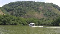 Sightseeing Boat Tour of Marapendi Lake Including Lunch 