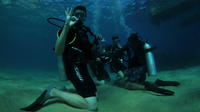 Discover Scuba Diving Including Sightseeing Boat Tour 