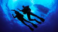 PADI Open Water Diver Certification in Cabo San Lucas