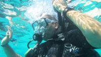 PADI Open Water Referral Dive Course in Cabo San Lucas