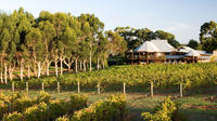 Margaret River and Geographe Bay Region Day Trip from Perth