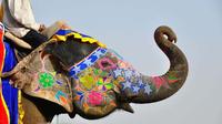 Full-Day Private Guided Tour of Jaipur City