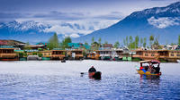 Private 6-Day Kashmir and Golden Triangle Tour from Delhi