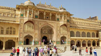 Private Jaipur Day Trip from Delhi with Elephant Ride