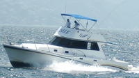 Private Fishing Trip Aboard the 'Gisele' in Puerto Vallarta