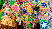 2 nuits Jaipur Y compris Elephant Tour de New Delhi