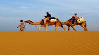 2-Night Jaisalmer Private Tour from Jodhpur including Camel Ride 