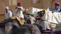 Jaipur Sightseeing Private Day Tour 