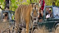 Private Tour: 2-Night Ranthambore National Park from Jaipur