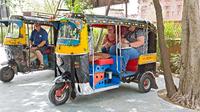 Private Tour: Jaipur Sightseeing by Tuk-Tuk