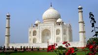 5-Nights Delhi, Jaipur, Ranthambore Tigers and Taj Mahal Private Tour