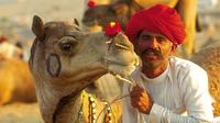 Day Trip to Pushkar from Jaipur