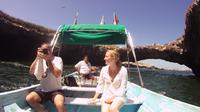 Marieta Island Snorkel Tour from Sayulita