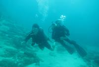 Plongée Tour à l'île Marietas de Sayulita