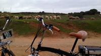 Environmental Park Bike Tour from Vilamoura