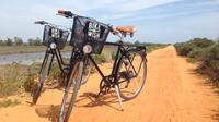 Ria Formosa National Park Bike Tour