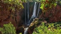 Ouzoud Waterfalls Full-Day Tour from Marrakech