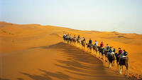 Nuit Desert Voyage de Marrakech avec Camel Ride
