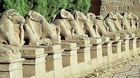 Private 7-Night Tour of Cairo, Giza and Luxor including Nile Cruise and Domestic Flights from Cairo