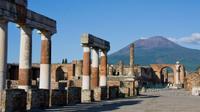 Private Pompeii and Herculaneum Day Tour