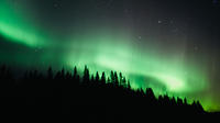Northern Light Aventure dans le nord de la Suède