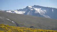 Excursión de safari en un vehículo 4x4 a Sierra Nevada, en Granada
