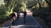 King of The Moon Hill Bike Tour de Sintra