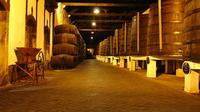 Visite privée: Excursion d'une journée Évora de Lisbonne