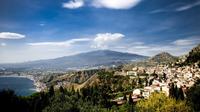 Private Tour: Mt Etna and Taormina from Catania  